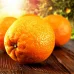 Ароматизатор Апельсин для слайма 10 мл во флаконе с фото и видео