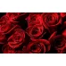 Ароматизатор Роза для слайма 10 мл во флаконе с фото и видео