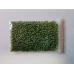 Бульонки темно-зеленые 2 мм для слайма в упаковке 10 гр с фото и видео