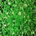 Фишболы зеленые 6 мм для слайма 10 гр в упаковке с фото