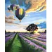 Картина по номерам на холсте Воздушные шары 36 цветов 40x50 см ✔