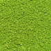 Пигмент Перламутровый Салатовый для слайма в баночке 15 гр с фото