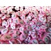Посыпка Фимо Облачко розовое для слайма в упаковке 10 гр с фото и видео