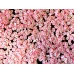 Посыпка Фимо Облачко розовое для слайма в упаковке 10 гр с фото и видео