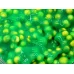 Слайм Киви Глосси зеленый с жёлтыми пенопластовыми шариками, с фимо в виде киви и лимона 150 мл с фото и видео от Марии DIY 